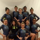 Paulding Gymnastics - Gyms in Dallas