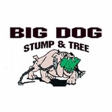 Big Dog Stump & Tree Inc - Tree Services in Augusta