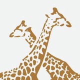 Wild Rainbow African Safaris LLC - Travel Agents in Atlanta