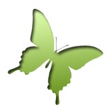 BVDesigns - Florists in Atlanta