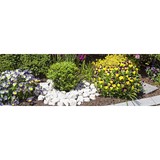 Frazier Lawn Service - Lawn Services