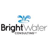 Bright Water Consulting LLC - Business Consulting in Snellville