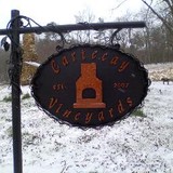 Cartecay Vineyards - Other in Ellijay