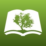 Olive Tree - Landscape Architects in Lawrenceville