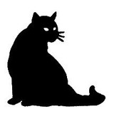 Clinic of Cobb Cat - Animal Hospitals in Marietta