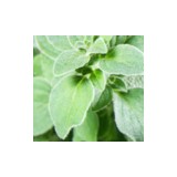 Jaycee Herb Traders USA Ltd - Food & Related Products in Atlanta