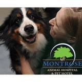 Montrose Animal Hospital - Veterinarians/Vets in Marietta