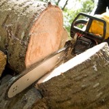 Safeco Tree Services - Tree Services in Snellville