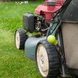 Whitwell Landscaping - Landscaping in Suwanee