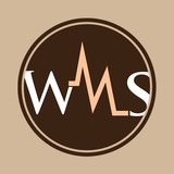 Worthy Medical Supply Inc - Medical Equipment  & Appliances in Duluth