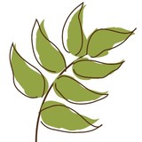 Fockele Garden CO - Landscaping in Gainesville