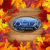 Bear Den Cabin Rentals - Other in Ellijay