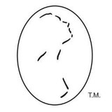 Atlanta Plastic Surgery P C - Plastic Surgeons in Fayetteville