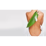 Dinoff Family Chiropractic - Chiropractors in Marietta