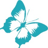 Social Butterfly Marketing - Marketing in Marietta