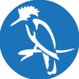 King Developers - Home Developers in Atlanta