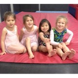 All Around Gymnastics - Gyms in Alpharetta