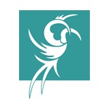 Phoenix & Dragon Bookstore - Bookstores/Bookshops in Atlanta