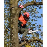 Atlanta Tree Company - Tree Services in Marietta