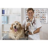 Young Dennis L DVM - Animal Hospitals in Columbus