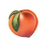 Peach County Ems - Other in Fort Valley
