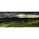 Three Sisters Winery - Other in Dahlonega
