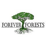 Forever Forests LLC - Other in Ball Ground