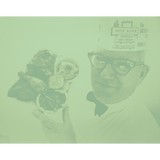 South Georgia Wife Saver Inc - Chicken in Evansville