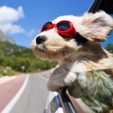 Guardian Interlock Systems - Addiction Services & Rehabilitalion in Carrollton