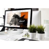 Ponyxpress Design - Graphic Design in Atlanta