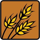 Harvest Baptist Church - Churches in Covington
