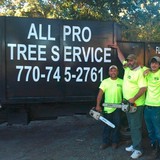 All Pro Tree Service LLC - Other in Austell
