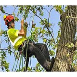 Marietta Tree Service .NET - Landscape Architects in Kennesaw