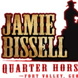 Jamie Bissell Quarter Horses Inc - Other in Fort Valley