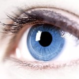Georgia Eye - Other in Claxton
