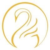 Swan Center For Plastic Surg - Plastic Surgeons in Alpharetta