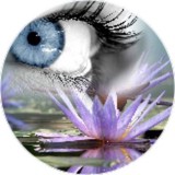 FirstCoastDesigns.Com - Web Design & Development in Saint Marys