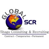 Shaga Consulting Recruiting - Business Consulting in Albany