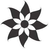 BinaryLily, LLC, - Web Design & Development in Kennesaw