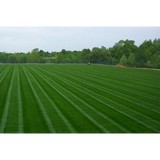 Adams Lawn Care - Lawn Services in Cartersville