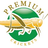 Premium Crickets Inc - Other in Winder