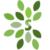 Synergy Landscape Group - Lawn Services