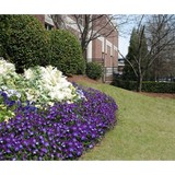 Standard Landscape Inc - Landscaping in Jonesboro