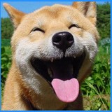 Creekside Animal Hospital - Veterinarians/Vets