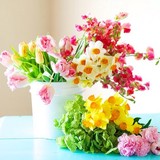 Morrow Florist & Gift Shops - Other in Morrow