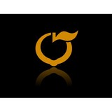 Peachstate Auto Ins - Insurance in Macon