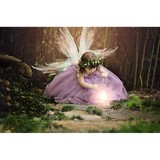 Rachel Tesch Photography - Other in Evansville