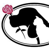 Rose Animal Hospital - Veterinarians/Vets in Roswell