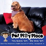 Pet Play Place - Pet Stores in Kennesaw
