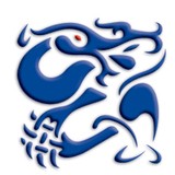 IndigoDragon Studios - Graphic Design in Decatur